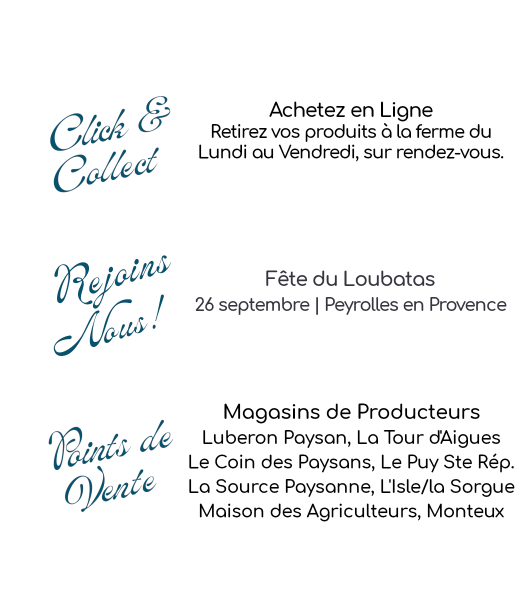 Photo_les activités_vente directe