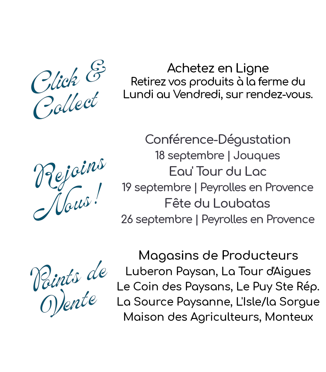 Photo_les activités_vente directe
