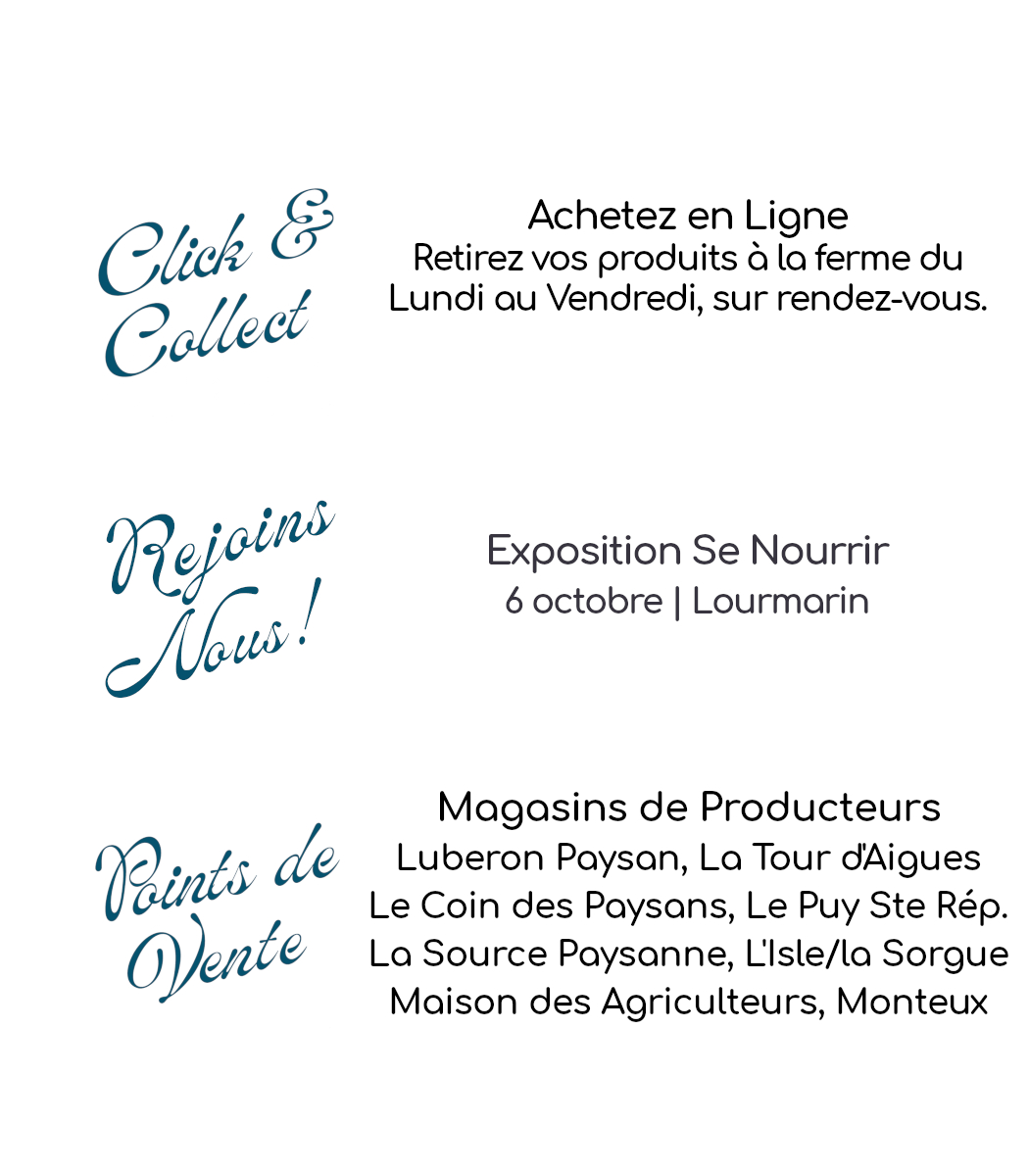 Photo_les activités_vente directe