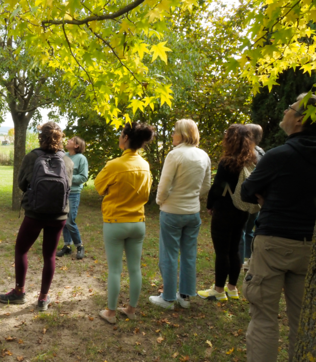 Visite de la ferme